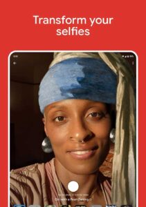 Google-Arts-Culture 7