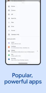 Google-Chat 6
