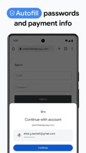 Google-Chrome 2