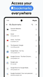 Google-Chrome 8