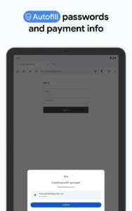 Google-Chrome 10