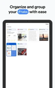 Google-Chrome 12