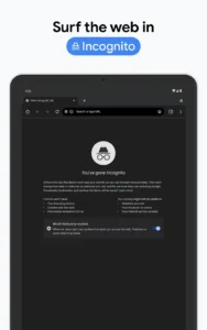 Google-Chrome 14