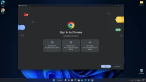 Google-Chrome 1