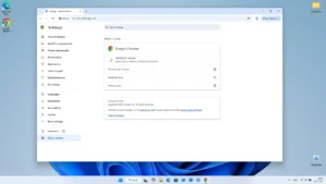 Google-Chrome 6