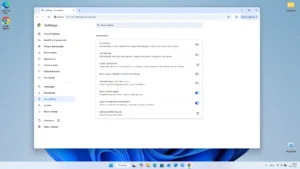 Google-Chrome 10