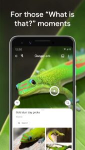 Google-Lens 7