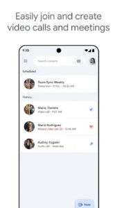 Google-Meet 1