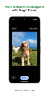Google-Photos 2