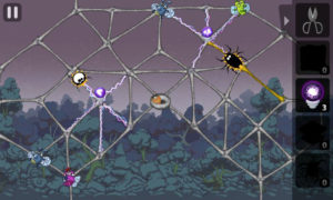 Greedy-Spiders-2 5