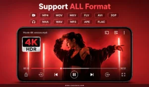 HD-Video-Player-All-Formats 3