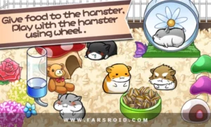 Hamster-Life 9