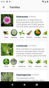 Herbs-Encyclopedia 10