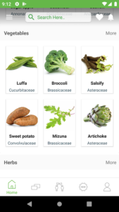 Herbs-Encyclopedia 5