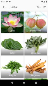 Herbs-Encyclopedia 7