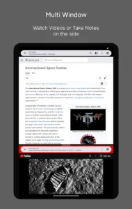 Hermit-•-Lite-Apps-Browser 9