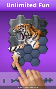 Hexa-Jigsaw-Puzzle 1