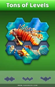 Hexa-Jigsaw-Puzzle 2