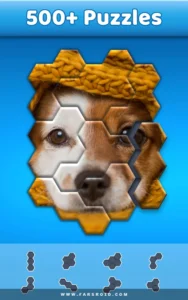Hexa-Jigsaw-Puzzle 4