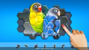 Hexa-Jigsaw-Puzzle 6