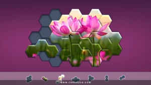 Hexa-Jigsaw-Puzzle 7