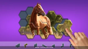 Hexa-Jigsaw-Puzzle 8
