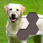 Hexa Jigsaw Puzzle logo