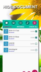 Hide-application-Hide-app-Hide-icon 3