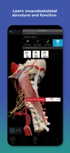 Human-Anatomy-Atlas 3