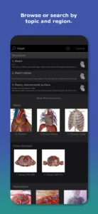 Human-Anatomy-Atlas 4