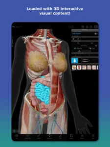 Human-Anatomy-Atlas 6