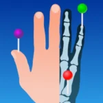 IMAIOS e-Anatomy logo