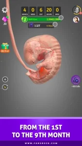 Idle-9-Months 3
