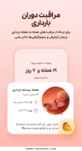 Impo 3