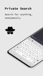 Incognito-Browser 4