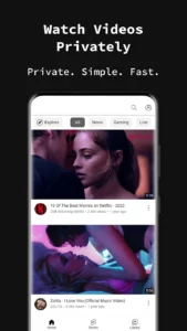 Incognito-Browser 6