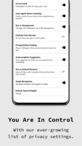 Incognito-Browser 7