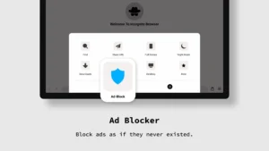 Incognito-Browser 9