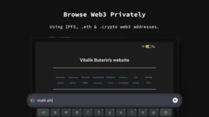 Incognito-Browser 10