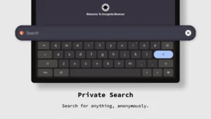 Incognito-Browser 11