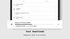 Incognito-Browser 13