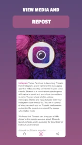 Insget-Instagram-Downloader 5