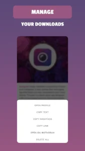 Insget-Instagram-Downloader 6