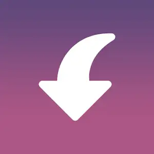 Insget - Instagram Downloader logo