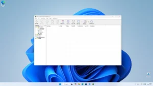 IDM 1