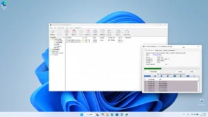 IDM 8