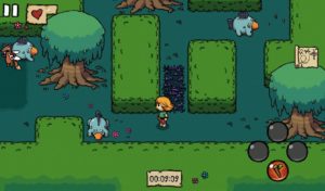Ittle-Dew 5