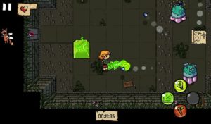 Ittle-Dew 6
