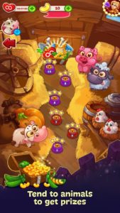Jackys-Farm 5