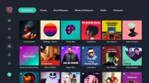 JioSaavn-Music-Radio 9